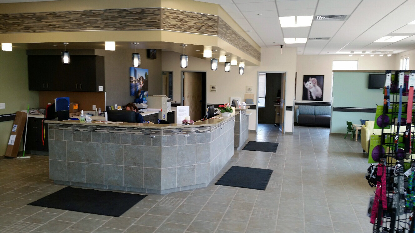 Construction process for VCA Hospital in Kentwood, MI