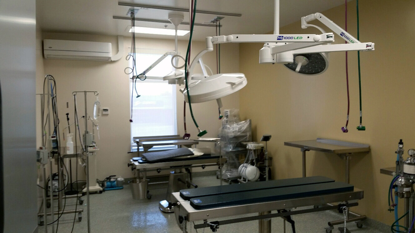 Construction process for VCA Hospital in Kentwood, MI