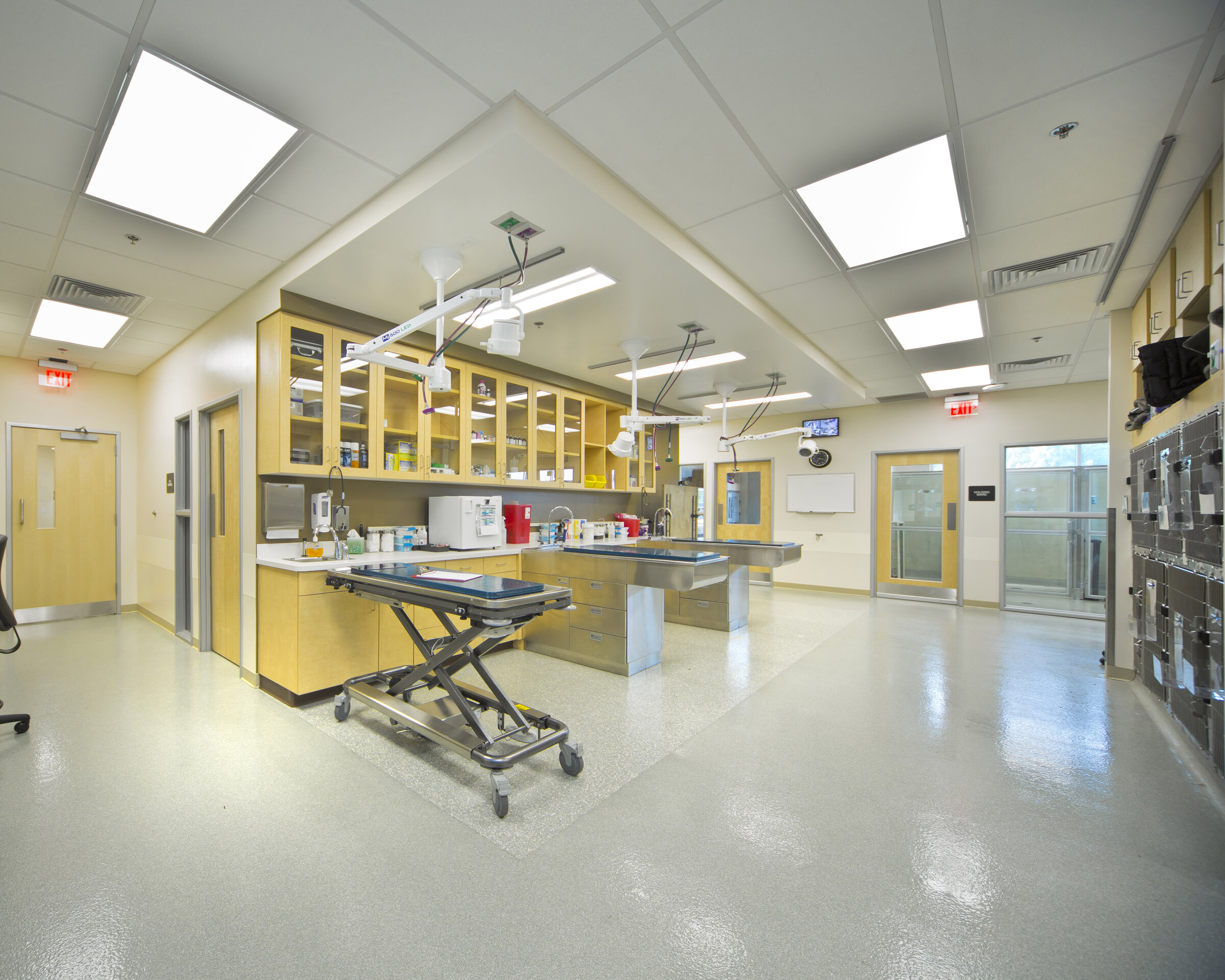 Construction process for VCA Hospital in Kentwood, MI