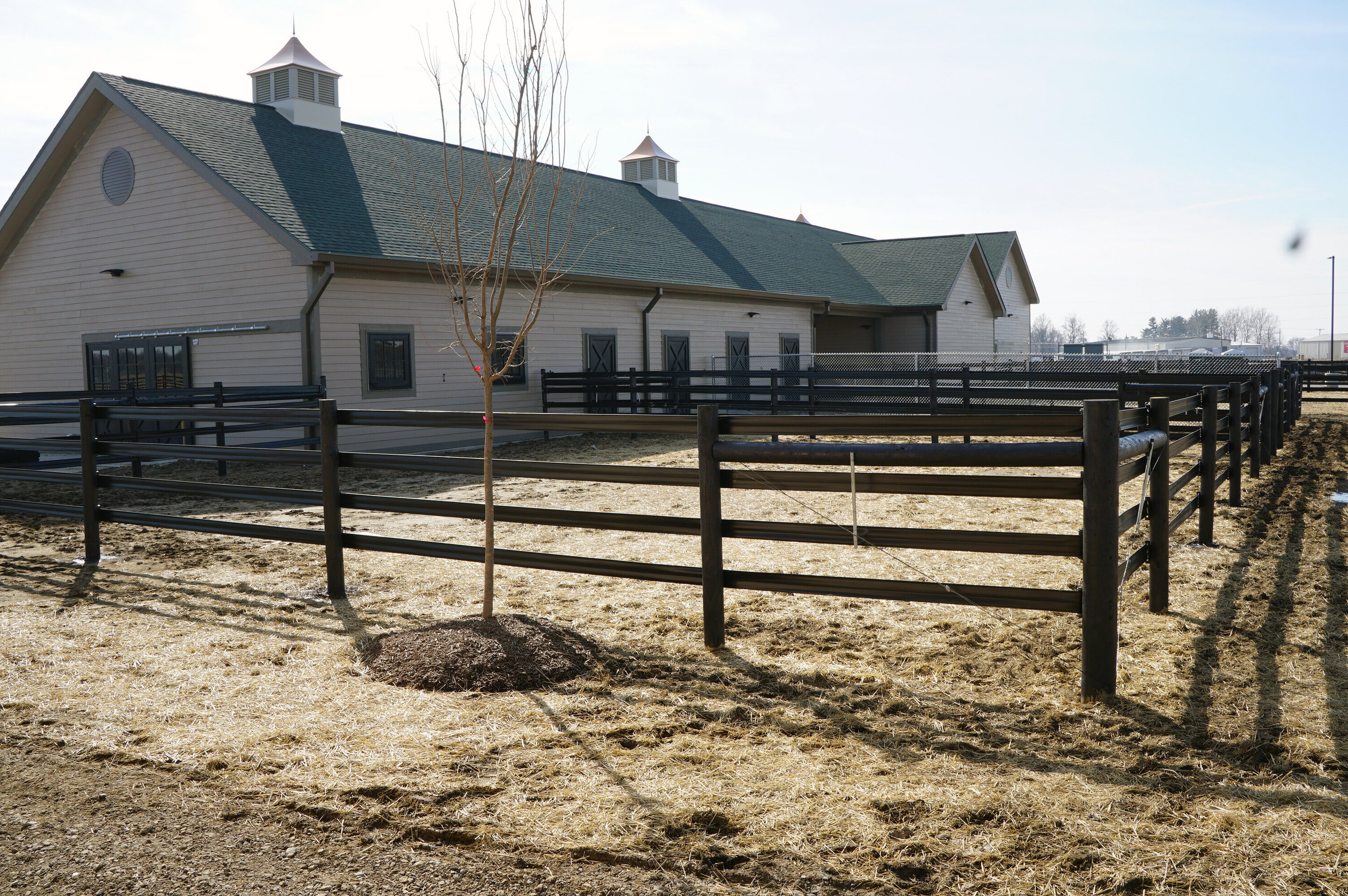 Construction process for Purdue Equine in Shelbyville, IN